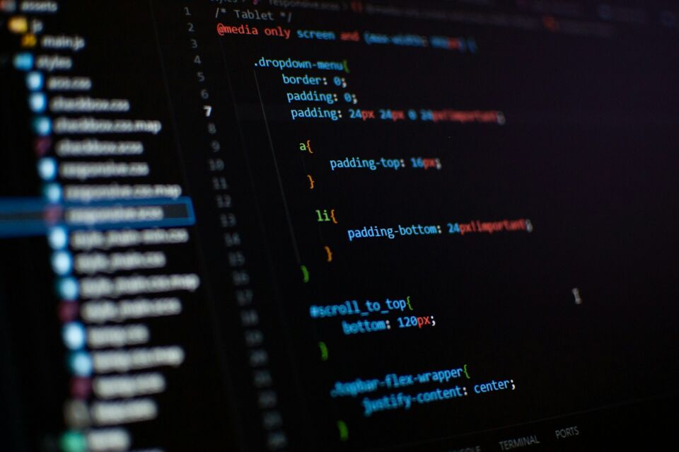 Foto eines Code-Editors mit CSS Styles